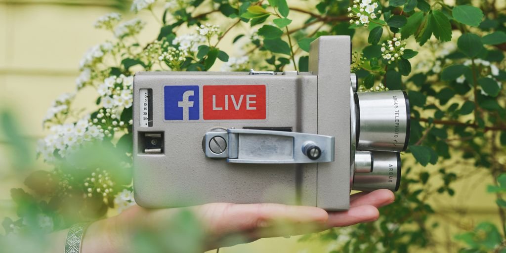 person holding gray video camera near green leaf plant during daytime